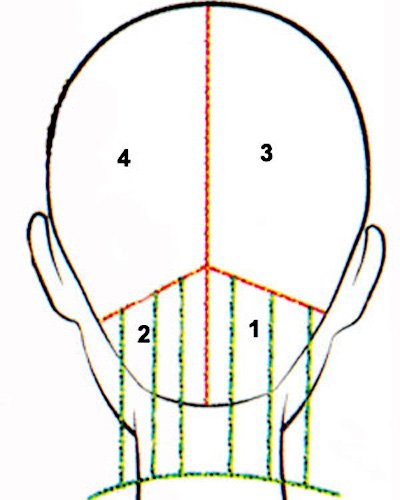 Схема стрижки нижнего затылка стрижки боб-каре